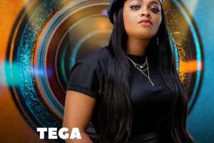 BBNaija6: Emmanuel, Tega Injured During Task