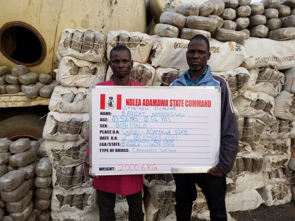 Europe Bound Passenger, 72-Year-Old Man, Varsity Students In NDLEA Net Over Drugs