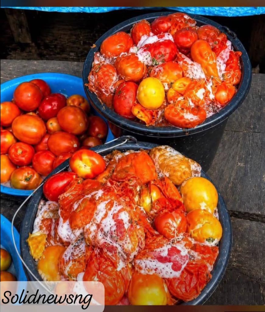 Aproko Doctor warns Nigerians against rotten tomatoes
