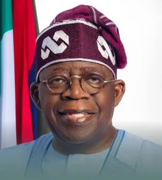 Tinubu inaugurates presidential working group on national policing bill