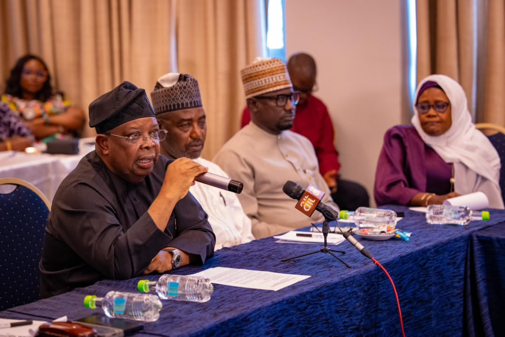 FG Commits to Providing Reliable Electricity Supply, Plans Investment in Grid Stabilization